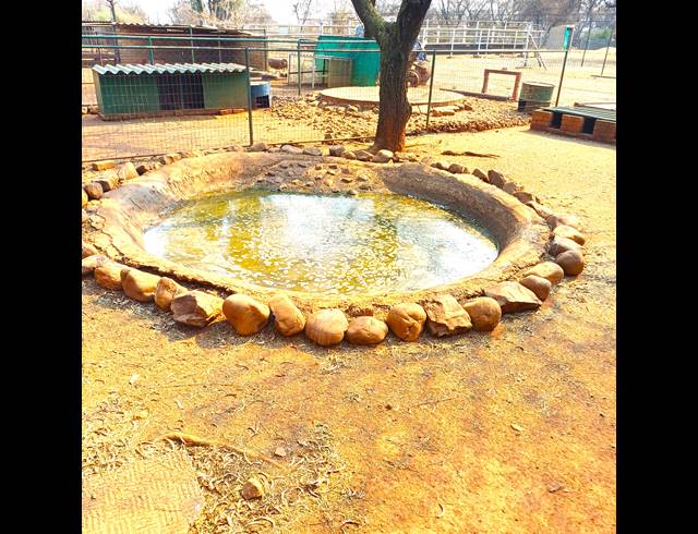 8.50HA FARM FOR SALE IN CHRISSIEFONTEIN